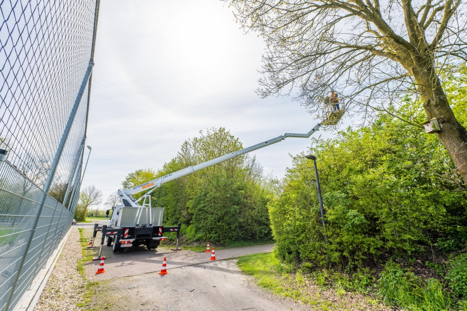 RUTHMANN STEIGER T 230 XS Baumpflege Rückansicht