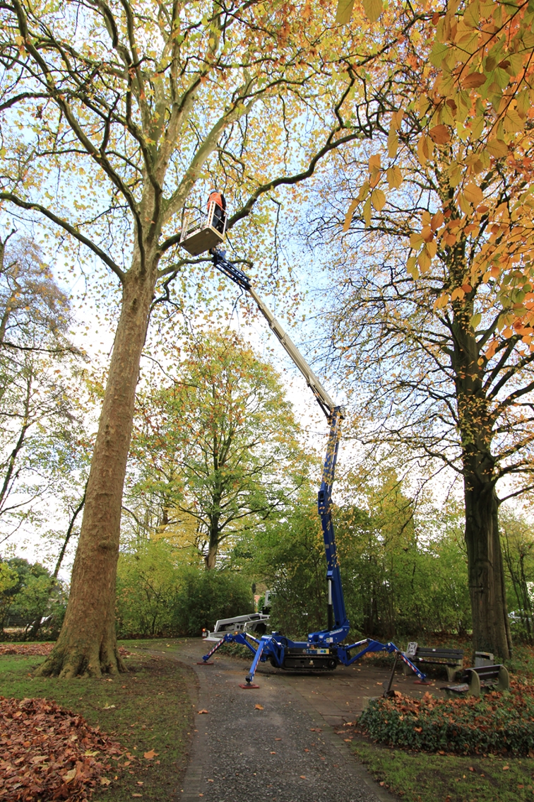 SA 26 Einsatz Wald